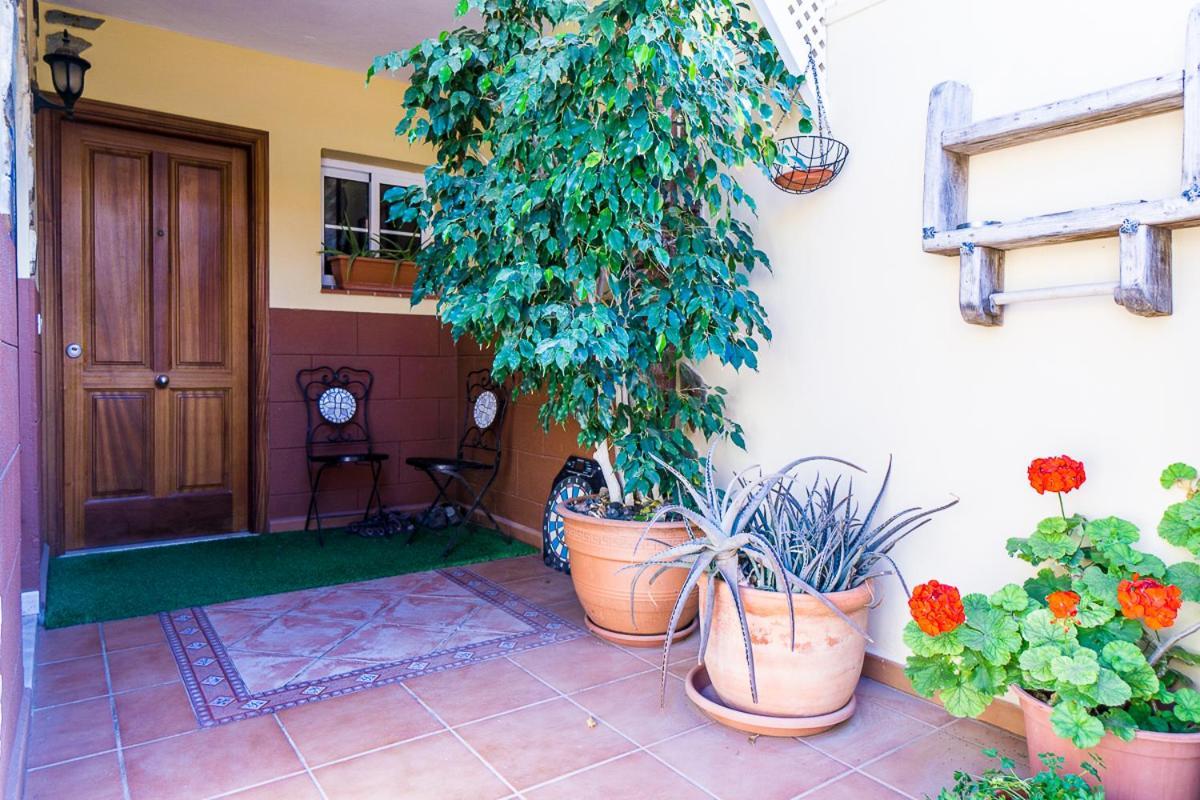 Rooms In El Medano Exteriör bild